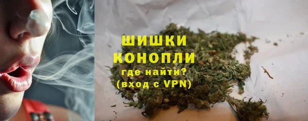 сатива Арсеньев