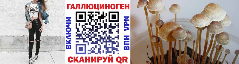 Псилоцибиновые грибы Magic Shrooms  OMG маркетплейс  мориарти Telegram  Усолье-Сибирское 